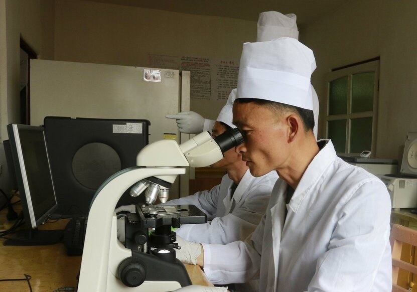 북한 평양 룡성구역에 있는 농업연구원 산하 수의학 연구소의 연구원들이 아프리카돼지열병(ASF) 시료를 검사하고 있다.