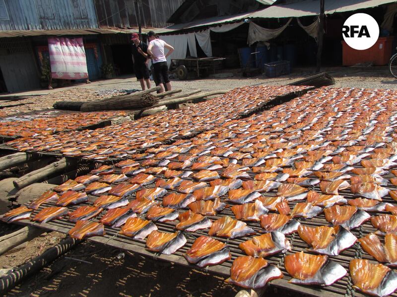 ត្រី​ប្រឡាក់​ដែល​ពលរដ្ឋ​ហាល​សម្រាប់​លក់​ឲ្យ​ភ្ញៀវ​ទេសចរ នៅ​ផ្សារ​ប្រហុក ឃុំ​ព្រែកនរិន្ទ ស្រុក​ឯកភ្នំ ខេត្ត​បាត់ដំបង កាល​ពី​ថ្ងៃ​ទី​១៤ ខែ​កុម្ភៈ ឆ្នាំ​២០១៧។ RFA/Hum Chamroeun