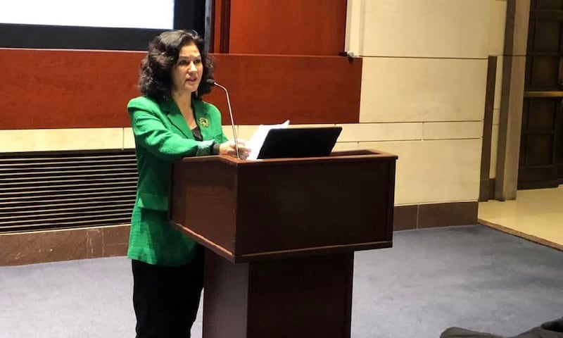 ئۇيغۇر ھەركىتى تەشكىلاتىنىڭ رەئىسى روشەن ئابباس يىغىندا سۆز قىلماقتا، 2022-يىلى 15-ماي.