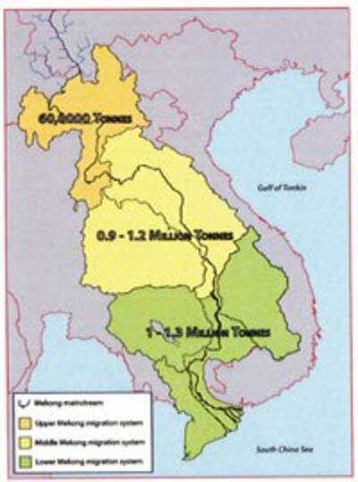 Lượng cá lưới bắt khoảng 3 triệu tấn một năm trong Lưu Vực Dưới Sông Mekong [nguồn: MRC 09-2008] 