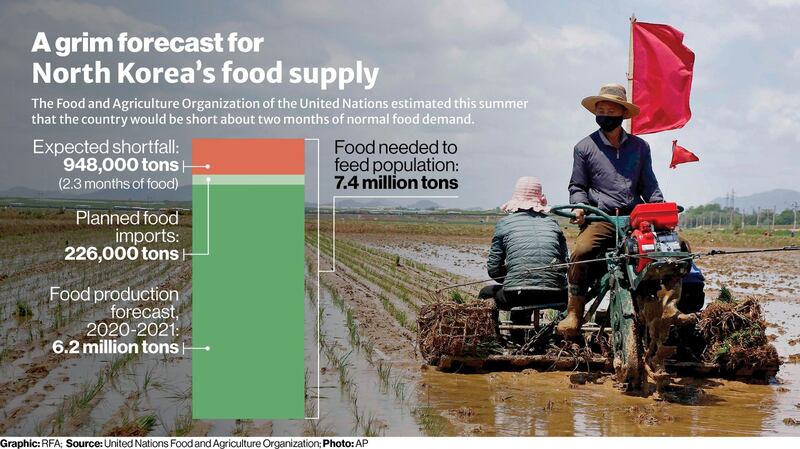 NK Food graphic.jpg