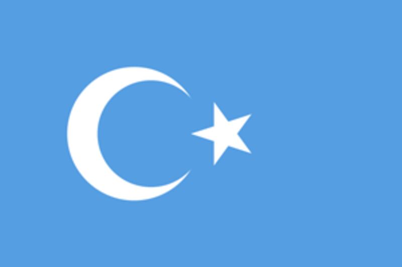 The National Flag of East Turkestan