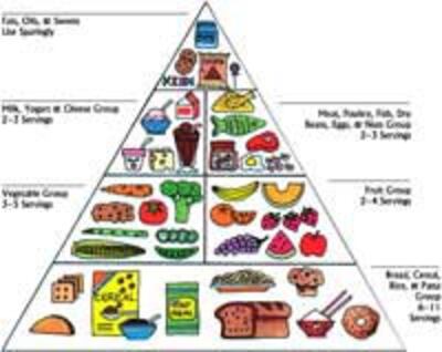 NewFoodPyramid200.jpg
