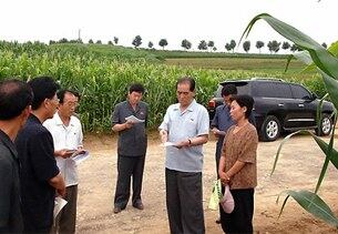 지난 7월 북한 박봉주 내각총리가 황해도 재령군 부덕협동농장을 찾아 현지지도했다고 조선중앙통신이 보도했다.