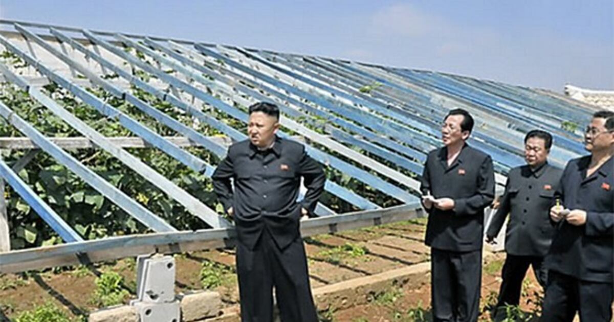청림리 백도라지농장 (2) – RFA 자유아시아방송