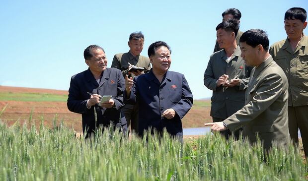 북한 최룡해 최고인민회의 상임위원장(가운데)이 황해북도농촌경리위원회 은정축산농장과 농업과학원 축산학연구소, 사리원시 미곡농장, 강서구역 청산농장 등을 시찰했다고 조선중앙통신이 18일 보도했다.