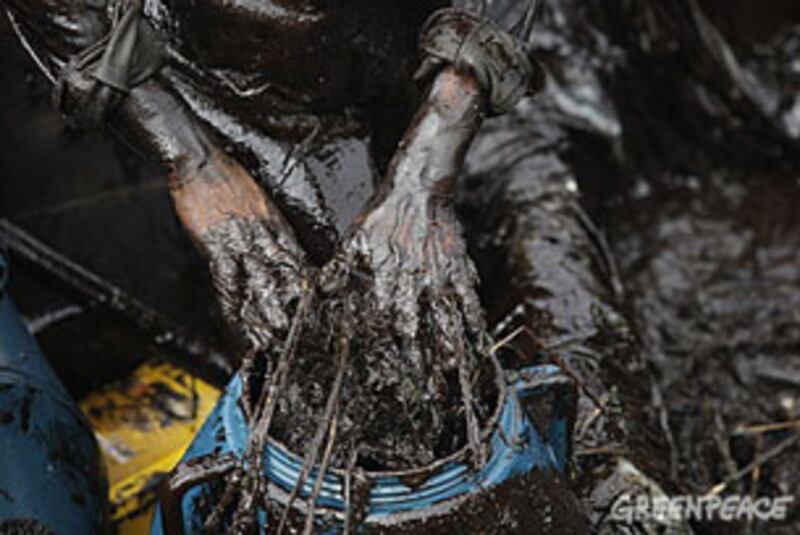 greenpeace-foto2_305.jpg