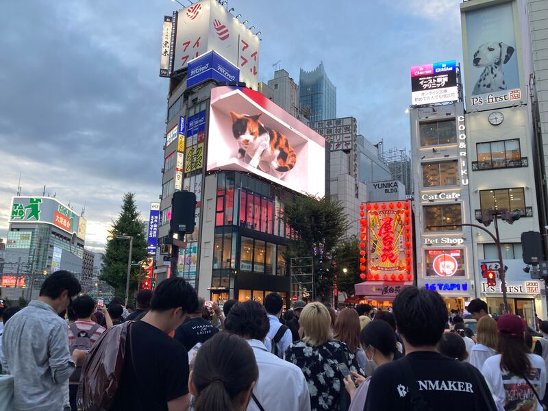 多間親中媒體報道，港人到日本「報復式消費」，造成「旅客逆差」令資金外流。（張仕仁攝）