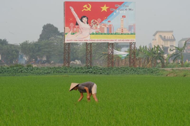 Ảnh minh họa chụp tại Thanh Oai, ngoại thành Hà Nội hôm 18/3/2015.