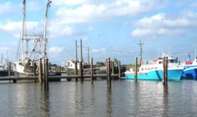 Các tàu đánh cá đều được lệnh cấm ra khơi