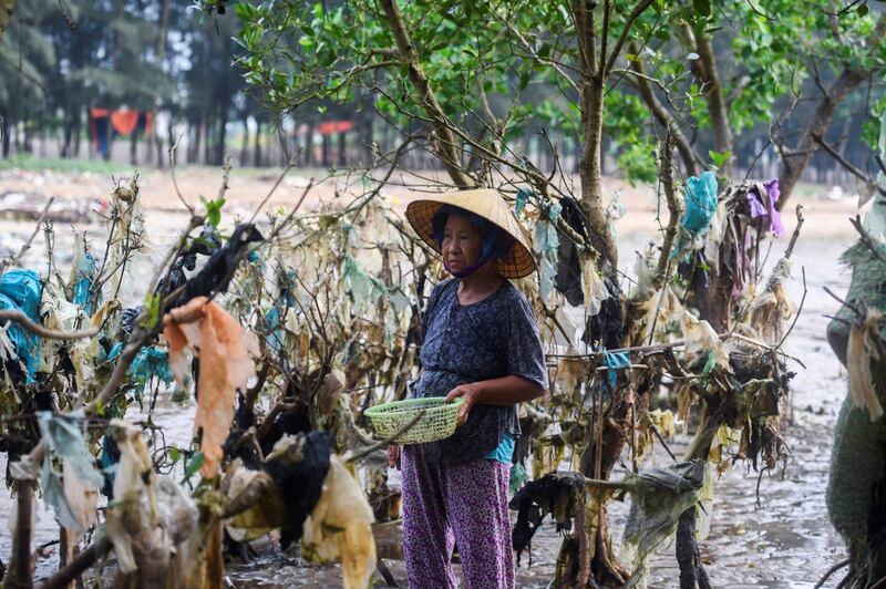 Bao nilon rác ở vùng biển Thanh Hóa. 