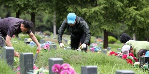 추석 연휴가 2주 앞으로 다가온 9일 부산 금정구 영락공원에서 성묘객들이 조상 묘에 벌초를 하고 있다. 