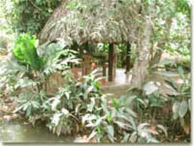 LangSinhThai200.jpg