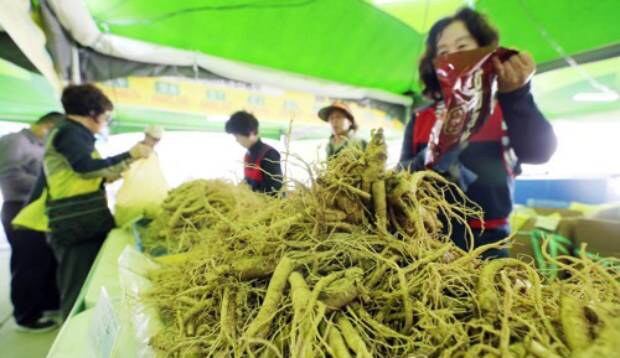 사진은 강원 홍천군 대표 가을 축제인 '인삼·명품축제' 모습.