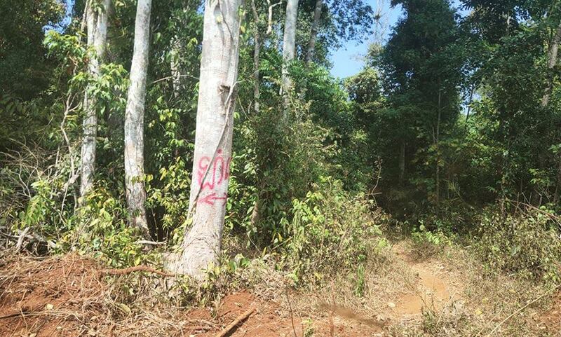 ទំហំដីព្រៃ ៣០០ហិកតារ ដែលសហគមន៍ខេត្តមណ្ឌលគិរីចោទថា អភិបាលស្រុកអូររាំង រំលោភយក។