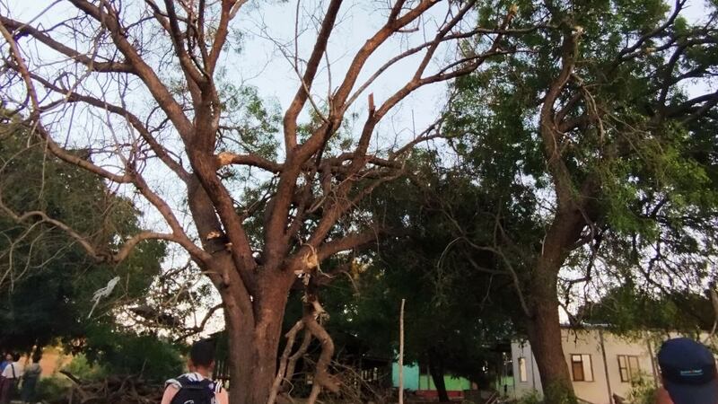 မကွေးတိုင်း၊ ပေါက်မြို့နယ်အတွင်း ၂၀၂၃ ခုနှစ်၊ ဒီဇင်ဘာလ ၁၅ ရက် လေကြောင်းတိုက်ခိုက်ခံရမှု အပြီး တွေ့ရစဉ်။ (Photo: Pauk Newsletter page)