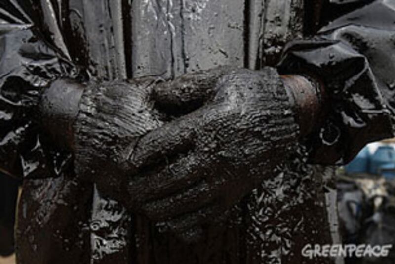 greenpeace-foto1_305.jpg
