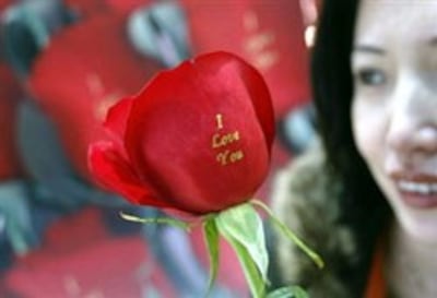 rose-250.jpg