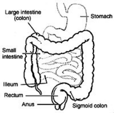 RuotGia200.jpg