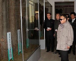 김정일이 함경북도에 위치한 연사지구 혁명전적지 시찰도중 전적지내 구호나무를 보고 있다.