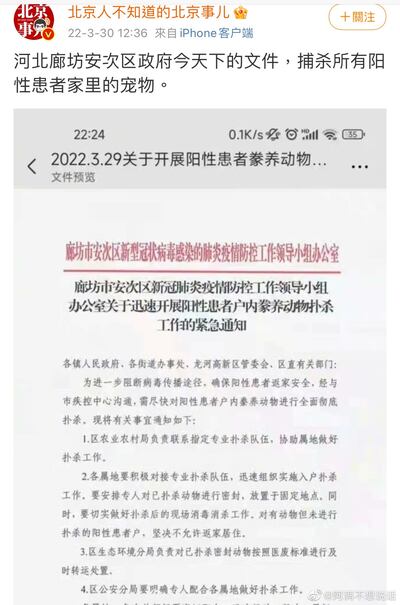 網民表示,河北省廊坊市安次區周二(29日)下達「紅頭文件」,要求捕殺所有陽性病人的寵物。(網絡截圖)