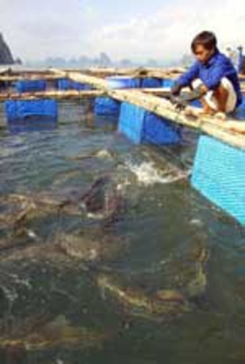 FishFarmer150.jpg