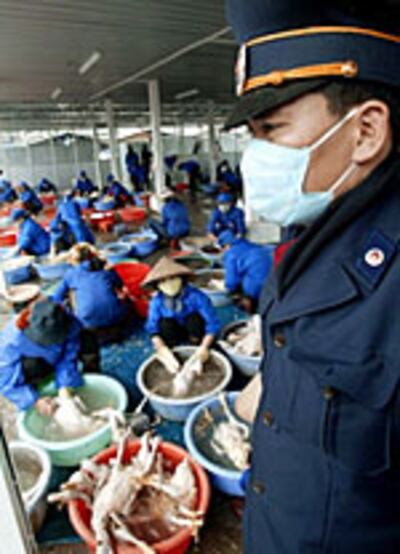 VietnamBirdflu150.jpg