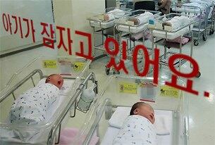 지난해 혼인 건수가 역대 최저치를 기록하며 올해 출생아 수도 줄어 저출산·고령화 현상에 가속도가 붙을 것이라는 우려가 제기되고 있다. 서울의 한 병원 신생아실 모습.