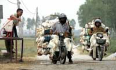 birdflu200.jpg