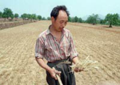 HENAN-ANYANG-FARMER-200.jpg