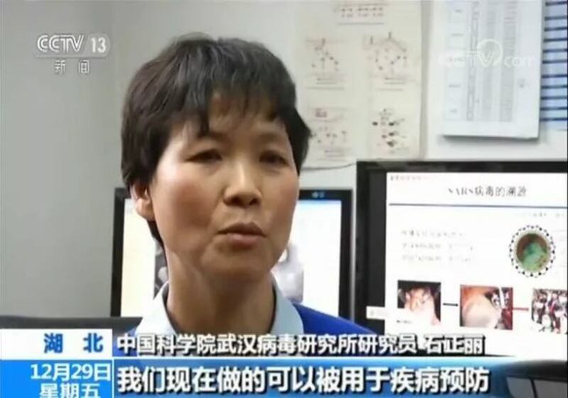 武汉病毒研究所研究员石正丽(视频截图)