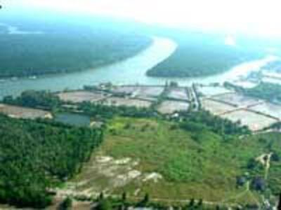TsunamWholeVillage200.jpg