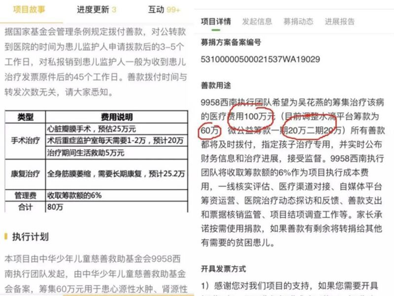 中國少年兒童慈善救助基金旗下的9958兒童緊急救助中心、利用吳花燕發起的募捐，遭揭露存在嚴重的不透明狀況。如今相關募款專案資訊已遭刪除。（募款項目截圖）