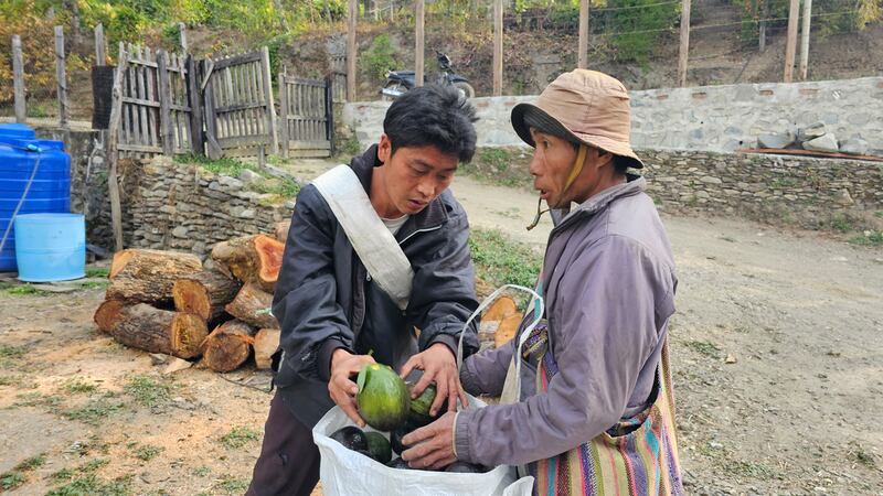 ချင်းပြည်နယ်၊ တီးတိန်မြို့နယ်မှထွက်သည့် ထောပတ်သီးများအား ၂၀၂၄ ခုနှစ်၊ ဇန်နဝါရီလ ၅ ရက်နေ့က တွေ့ရစဉ်။ (Photo: RFA)