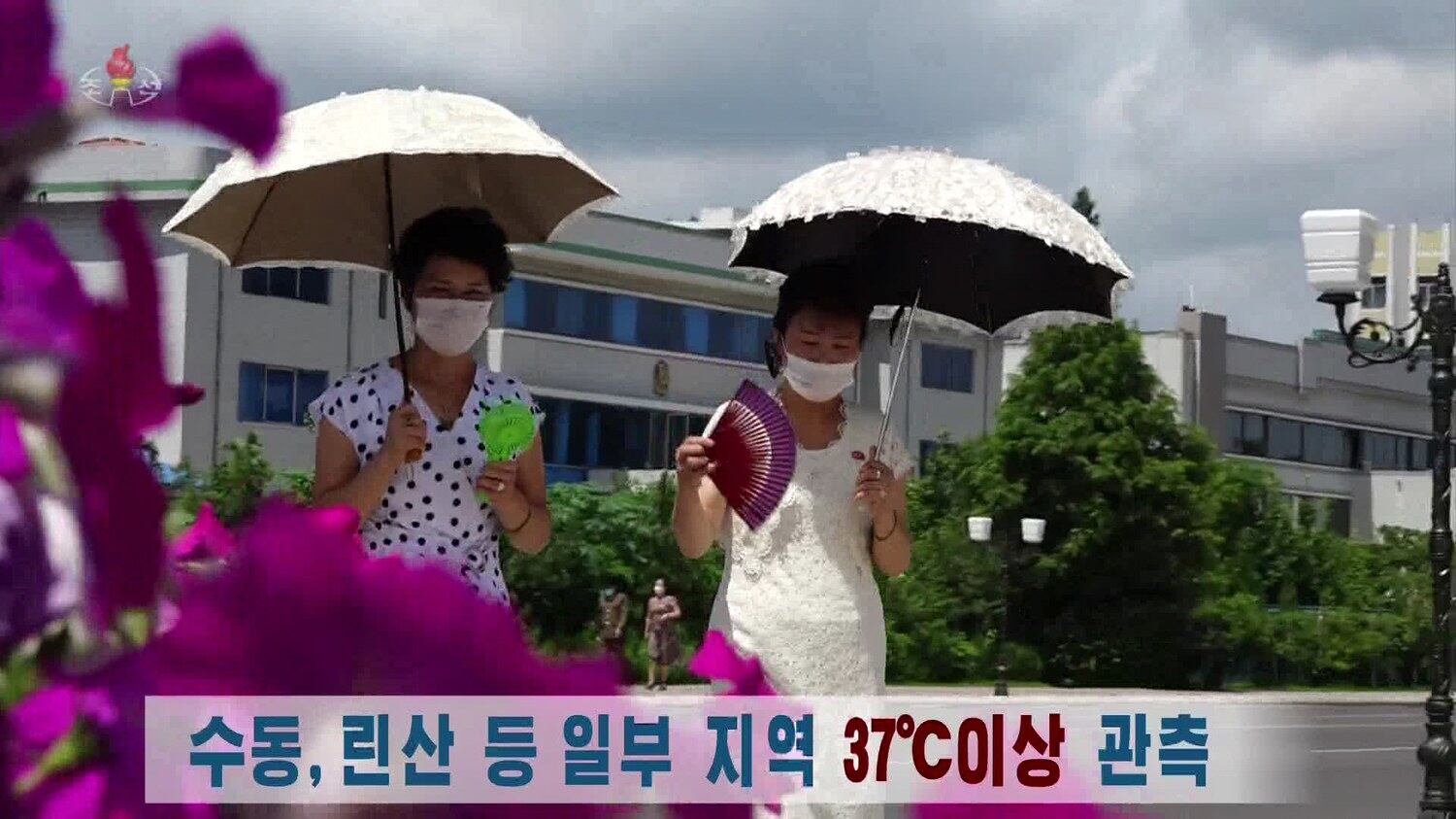 북한 대부분 지역에서 폭염이 이어지고 있다고 조선중앙TV가 지난 21일 보도했다. 사진은 한 손에는 양산, 다른 손에는 휴대용 선풍기와 부채를 쥔 평양 시민들.