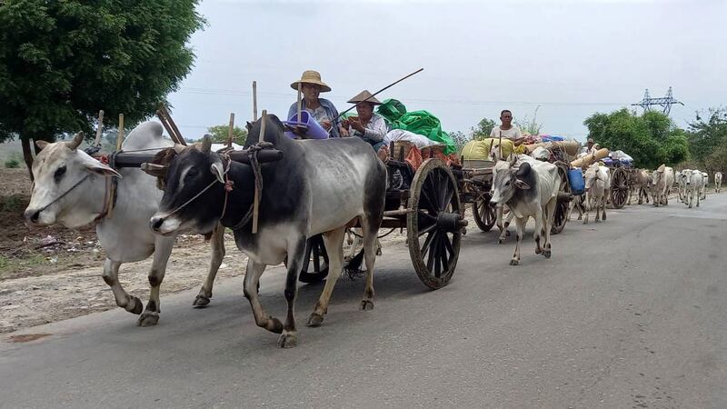 စစ်ကိုင်းတိုင်း၊ ကန့်ဘလူမြို့နယ်မှ စစ်ဘေးဒုက္ခသည်များအား ၂၀၂၃ ခုနှစ်၊ မေလ ၁၆ ရက်နေ့က တွေ့ရစဉ်။ (ဓာတ်ပုံ - ကျွန်းလှ တက်ကြွလှုပ်ရှားသူများအဖွဲ့ )