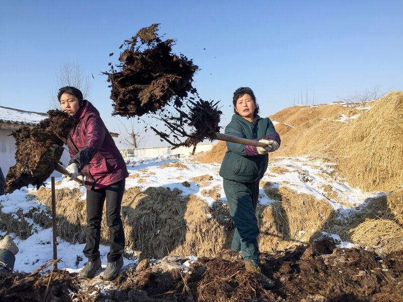 ENG_KOR_FROST DAMAGE_05172024.2.jpg