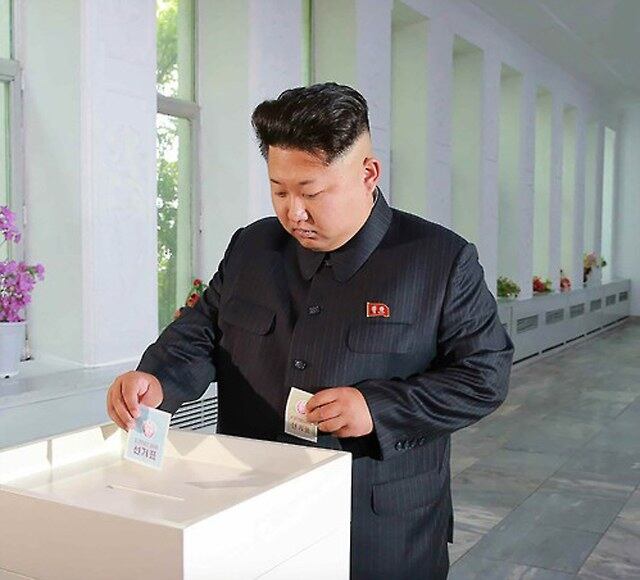 김정은 북한 국방위원회 제1위원장이 열린 우리의 지방의회 격인 도·시·군 인민회의 대의원 선거 투표를 하고 대의원 후보자들과 만나 그간 노고도 치하했다고 노동신문이 보도했다.