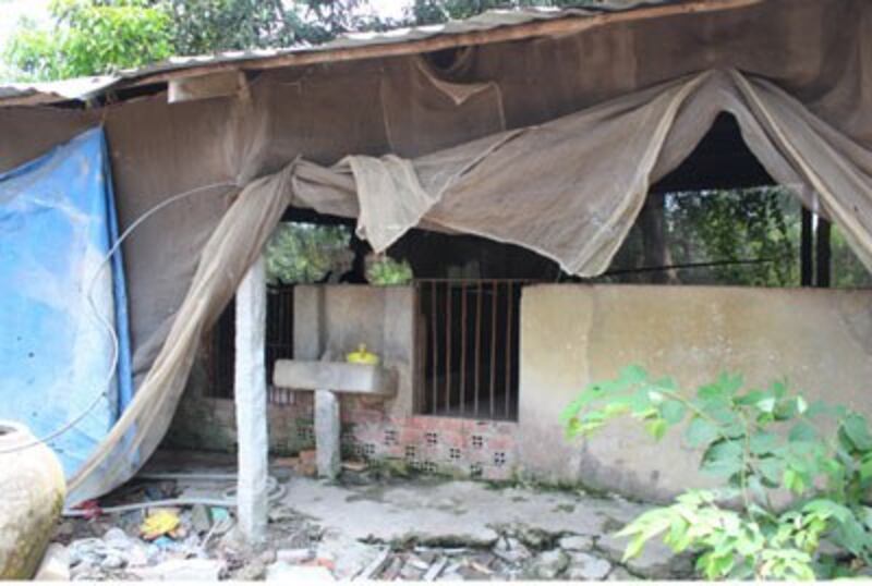 Một khu chăn nuôi heo thất bại bỏ hoang. RFA