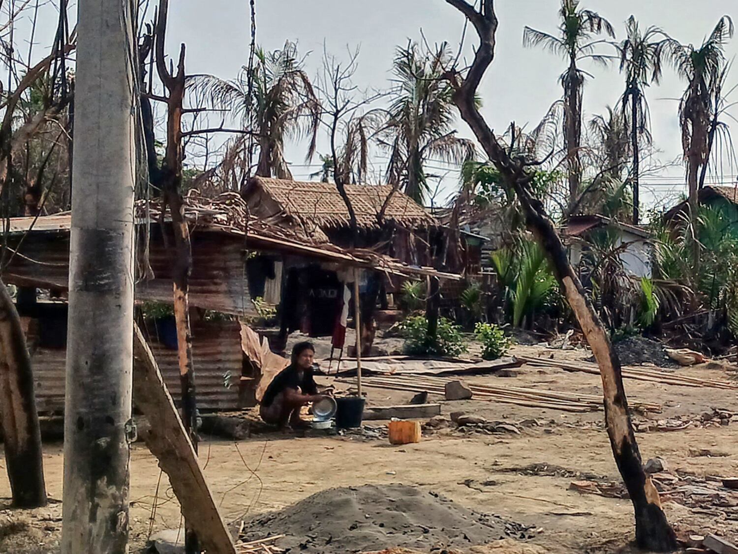 A woman cooks next to destroyed houses and burned trees following fighting between Myanmar's military and the Arakan Army, May 21, 2024, in Minbya township, western Rakhine state, Myanmar.