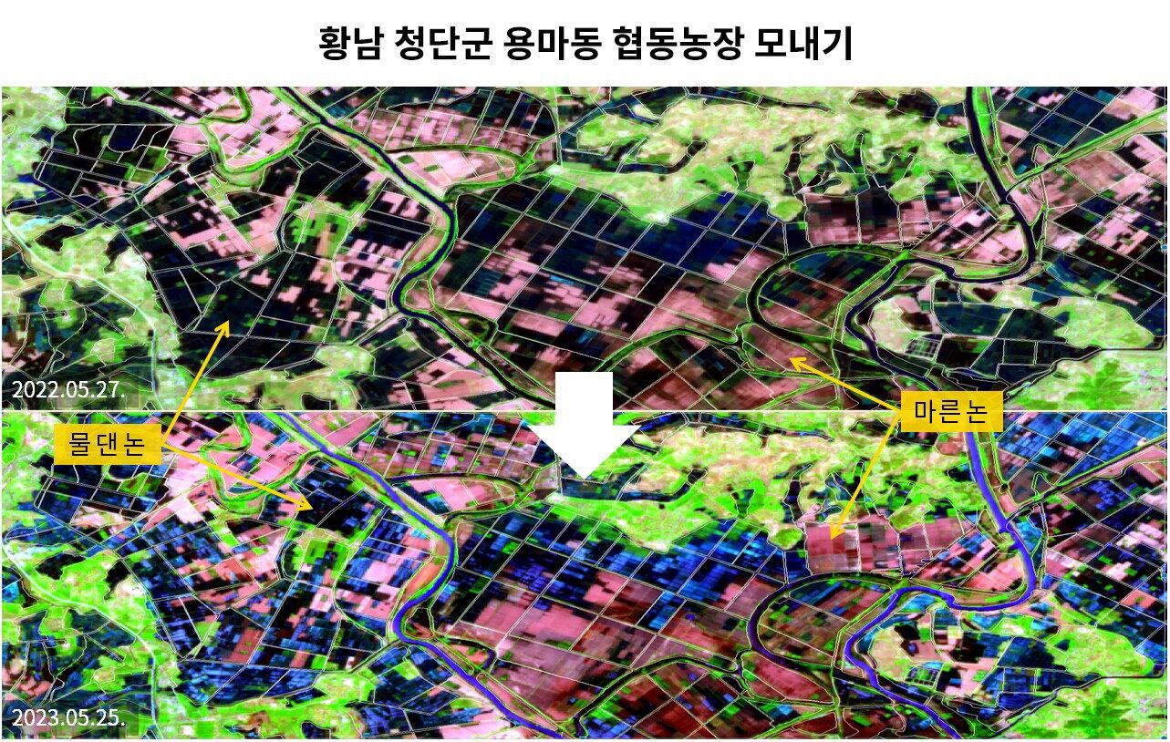 2022년과 2023년 5월 말, 황해남도 청단군 용마동 협동농장 일대를 비교∙분석한 논의 모습. 물을 댄 논 지역은 검은색 또는 푸른색으로 나타나고, 마른 논은 분홍색으로 나타난다. / 센티넬-2A, 2B 이미지 제작 – 정성학