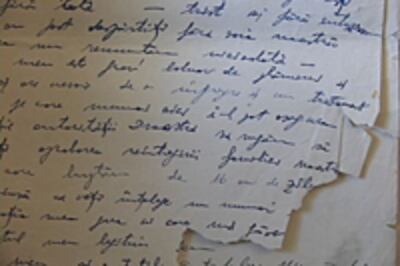 mirioiu3-200.jpg