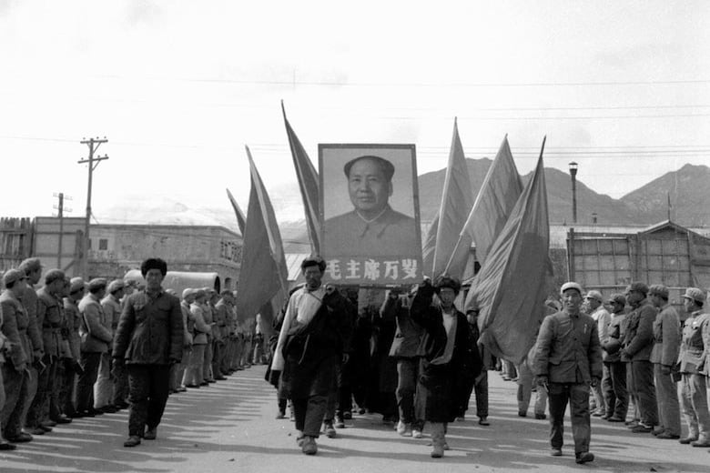 《杀劫》2023年最新修订版223页。