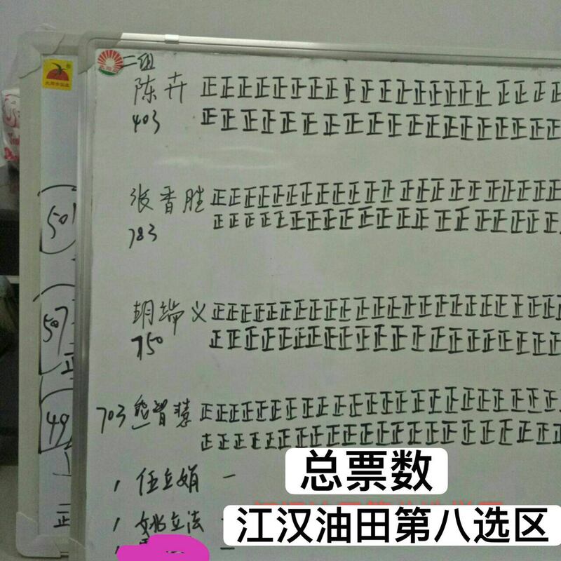 湖北維權人士伍立娟再次以獨立身份參選，最終連推薦表格也拿不到。她最終只得1票，未能當選。（受訪者提供圖片） 