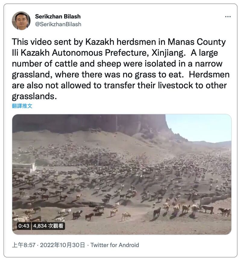 新疆伊犁哈萨克人传出视频显示，大批牲口被集中隔离，禁止放牧、移场饲养或运送牧草，恐有牲口饿死，冲击哈萨克和维吾尔牧民生计。（赛尔克坚提供）
