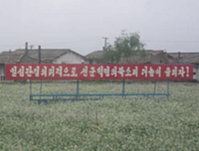 nk_farm-200.jpg