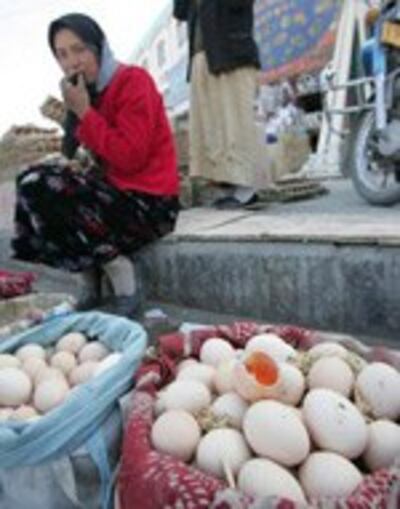 Eggs-150.jpg