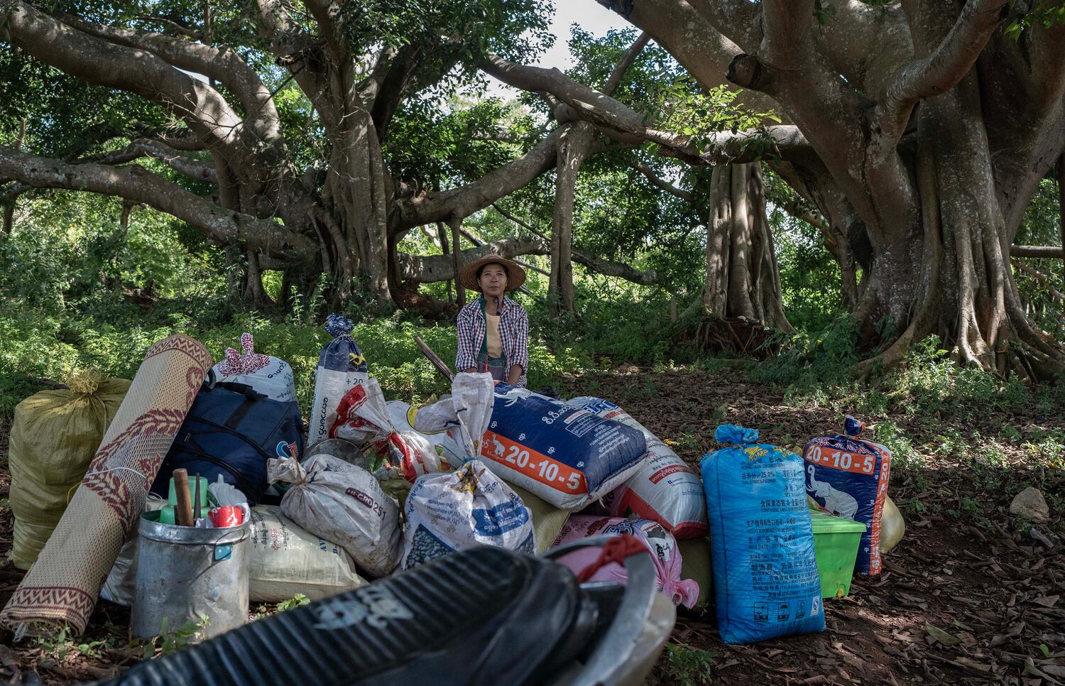 Than Aye, 54, sitzt im Schatten eines riesigen Banyanbaums inmitten von Reissäcken, nachdem er am 30. Oktober 2024 von einem von KNDF bereitgestellten Lastwagen im Bundesstaat South Shan in Myanmar abgesetzt wurde.