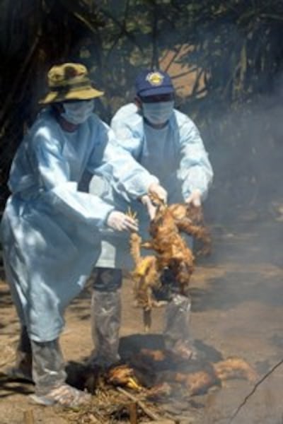 VIETNAM_HEALTH_FLU_CHIKE_200.jpg