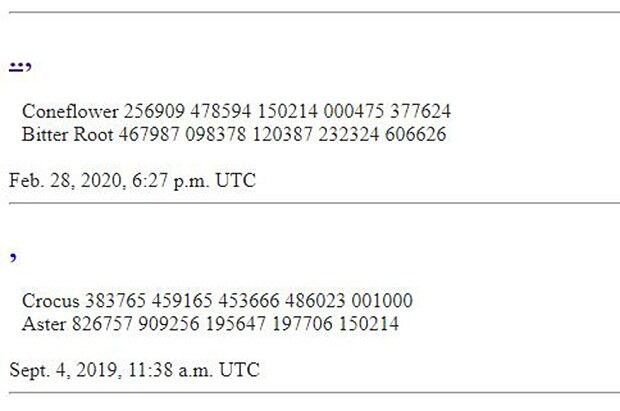 지난해 2월 스페인(에스빠냐) 주재 북한 대사관을 습격한 반북단체 ‘자유조선’이 지난 2월 28일 오후6시27분(세계표준시 UTC 기준) 홈페이지에 꽃 종류인 ‘루드베키아’(Coneflower)와 ‘쓴 뿌리’(Bitter Root)란 문구와 숫자들을 돌연 게재했다.